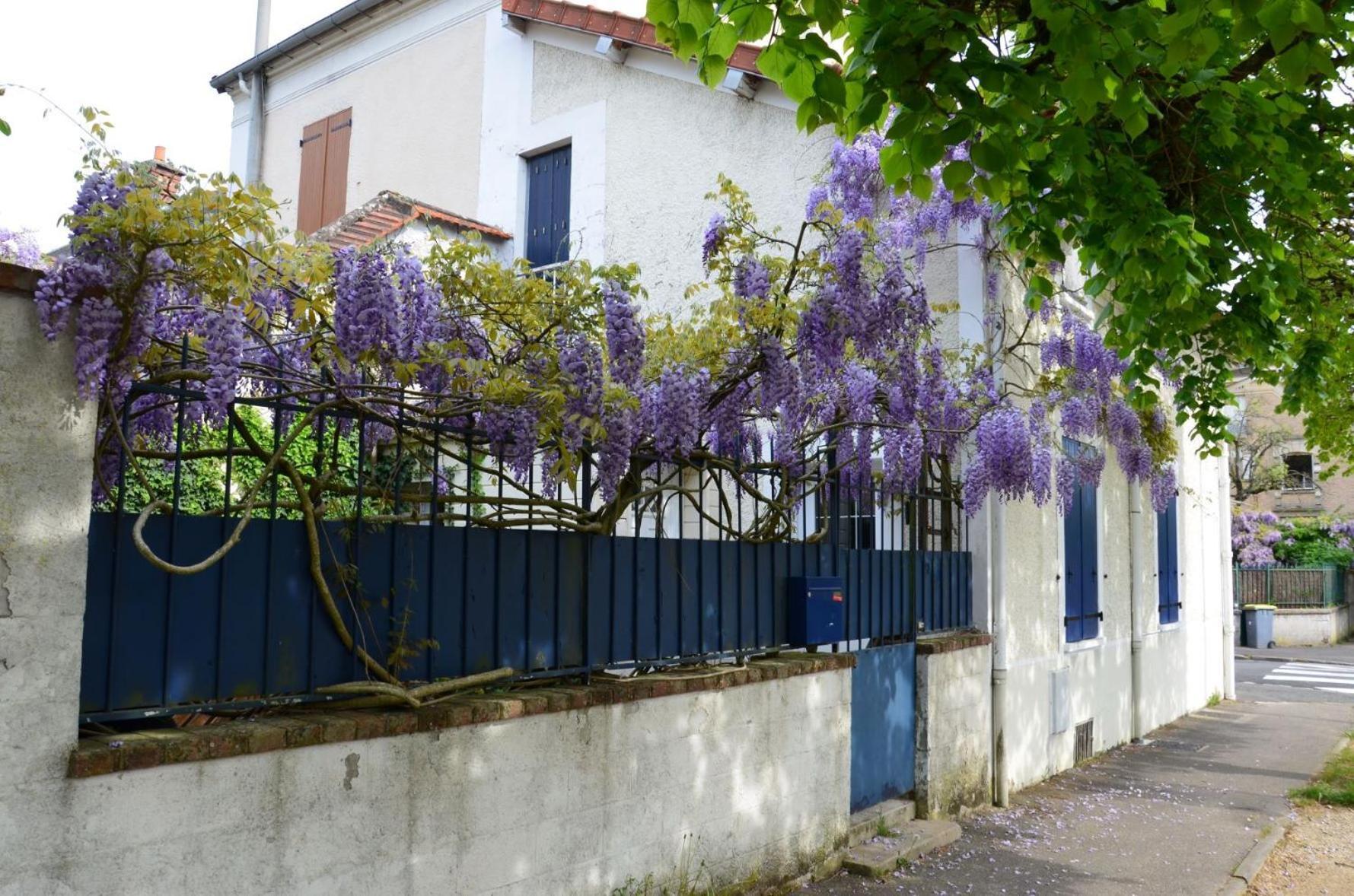 Bleautiful "Eugenie" Charmante Maison De Ville Fontainebleau Eksteriør bilde
